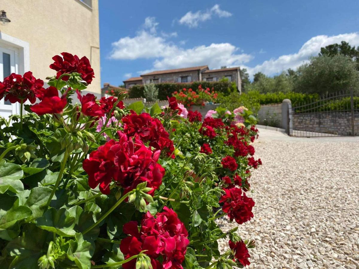 Apartman Luna Sveti Lovrec Pazenaticki Luaran gambar